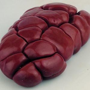 A frozen buffalo kidney, showcasing its distinct shape and rich red color, ready for cooking or preparation.