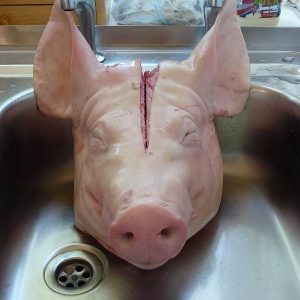 A frozen pork head wrapped in plastic, showcasing its distinctive shape, with some visible skin and meat textures, set against a wooden cutting board."