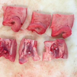 Frozen Pork Snout: An Exciting Ingredient for Bold Recipes